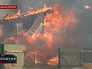 Лесной пожар в Забайкальском крае Лесной пожар в Забайкальском крае