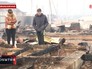Последствия пожара в Забайкальском крае Последствия пожара в Забайкальском крае