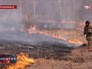 Пожар в Амурской области Пожар в Амурской области