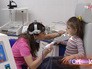 Лечебный центр для детей Лечебный центр для детей