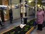 Экспозиция в галерее ГУМа выставки "Искусство Фронту" Экспозиция в галерее ГУМа выставки "Искусство Фронту"