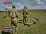 Военные действия в Львовской области Военные действия в Львовской области