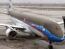 Вулканический пепел накрыл аэропорт в Чили Вулканический пепел накрыл аэропорт в Чили