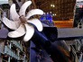 Спуск на воду подводной лодки "Краснодар" в Санкт-Петербурге Спуск на воду подводной лодки "Краснодар" в Санкт-Петербурге