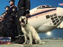Сотрудники МЧС России в Непале Сотрудники МЧС России в Непале