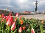 Тёплая погода в Москве Тёплая погода в Москве