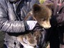 Медвежонок на руках Медвежонок на руках