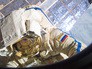 Работа космонавта в открытом космосе Работа космонавта в открытом космосе