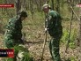 День кедра во Владивостоке День кедра во Владивостоке