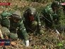 День кедра во Владивостоке День кедра во Владивостоке