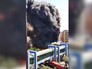 Пожар в жилом доме в Баку Пожар в жилом доме в Баку