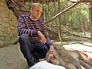 Инцидент с обезьянами в Ялтинском зоопарке Инцидент с обезьянами в Ялтинском зоопарке