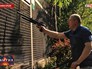 Ветеринар стрелает в обезьяну Ветеринар стрелает в обезьяну