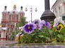 Озеленение Москвы Озеленение Москвы