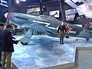 Истребитель Як-3, на котором летали французские пилоты эскадрильи "Нормандия-Неман" Истребитель Як-3, на котором летали французские пилоты эскадрильи "Нормандия-Неман"