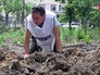 Наблюдатели ОБСЕ в Донбассе Наблюдатели ОБСЕ в Донбассе