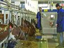 Ферма Валаамского монастыря Ферма Валаамского монастыря