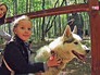 Дети и хаски Дети и хаски