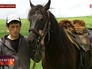 Наездник с лошадью Наездник с лошадью