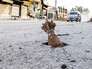 Боевые действия в Сирии Боевые действия в Сирии
