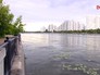 Нагатинская пойма Нагатинская пойма