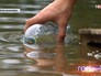 Сбор воды в озере Сбор воды в озере