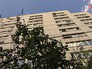 Место падения девочки и собаки Место падения девочки и собаки