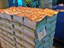 Издательство журнала "Флирт" Издательство журнала "Флирт"