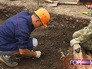 Строительство парка "Зарядье" Строительство парка "Зарядье"