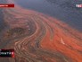 Цветение водорослей в Амурском заливе Цветение водорослей в Амурском заливе