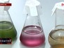 Биохимический анализ воды Биохимический анализ воды
