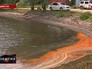 Цветение водорослей в Амурском заливе Цветение водорослей в Амурском заливе