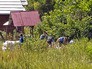 Украинские милиционеры делают баррикады на въезде в Мукачево Украинские милиционеры делают баррикады на въезде в Мукачево