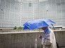 У здания Европарламента в Брюсселе У здания Европарламента в Брюсселе