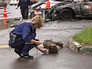 Следственные действия на месте ДТП на Беговой улице Следственные действия на месте ДТП на Беговой улице