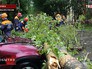 Последствие тайфуна "Чан-Хом" в Хабаровском крае Последствие тайфуна "Чан-Хом" в Хабаровском крае
