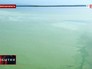 Сине-зеленый цвет воды озера в Челябинской области Сине-зеленый цвет воды озера в Челябинской области