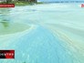 Сине-зеленый цвет воды озера в Челябинской области Сине-зеленый цвет воды озера в Челябинской области