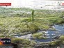 Сине-зеленые водоросли Сине-зеленые водоросли
