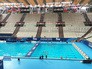 Чемпионат мира по водным видам спорта в Казани Чемпионат мира по водным видам спорта в Казани