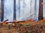 Лесные пожары Лесные пожары