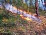 Лесные пожары Лесные пожары