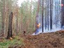 Лесные пожары Лесные пожары