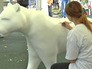 День тигра в Московском зоопарке День тигра в Московском зоопарке
