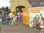 День тигра в Московском зоопарке День тигра в Московском зоопарке