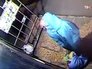 Подозреваемая в серии убийств жительница Санкт-Петербурга избавляется от улик Подозреваемая в серии убийств жительница Санкт-Петербурга избавляется от улик