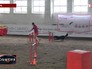 Юношеское первенство России по кинологическому спорту Юношеское первенство России по кинологическому спорту