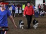 Юношеское первенство России по кинологическому спорту Юношеское первенство России по кинологическому спорту