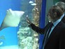 Президент России Владимир Путин и мэр Москвы Сергей Собянин во время осмотра океанариума Президент России Владимир Путин и мэр Москвы Сергей Собянин во время осмотра океанариума