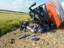 Сотрудники МЧС России работают на месте ДТП на трассе Хабаровск-Комсомольск-на-Амуре Сотрудники МЧС России работают на месте ДТП на трассе Хабаровск-Комсомольск-на-Амуре